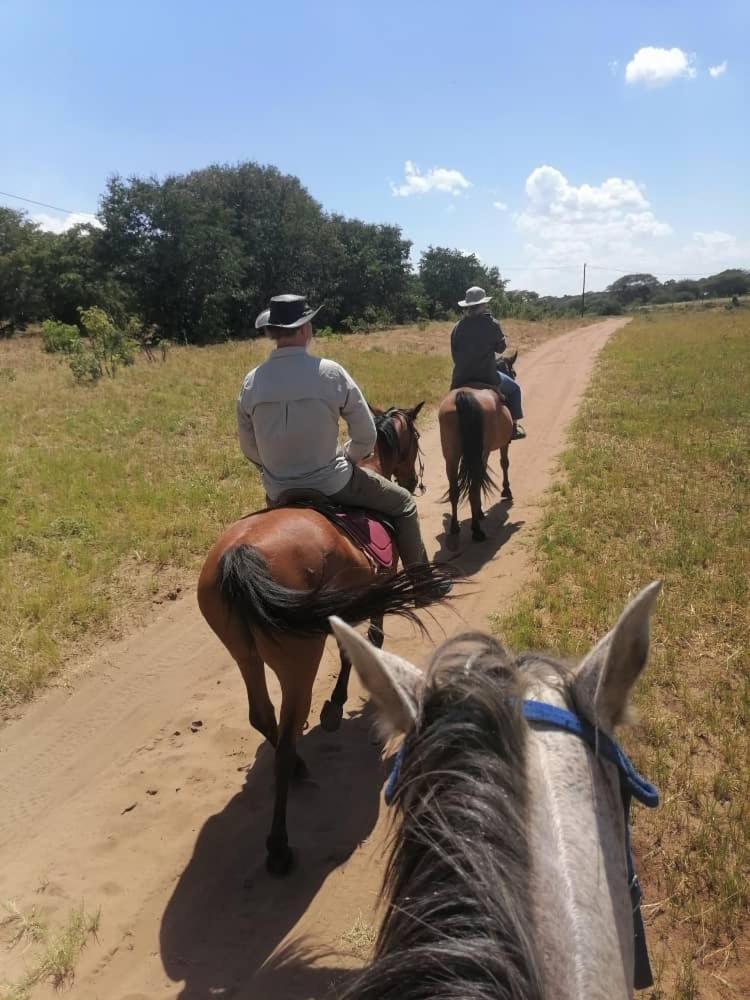 Chobe Sunset Chalets Lesoma エクステリア 写真