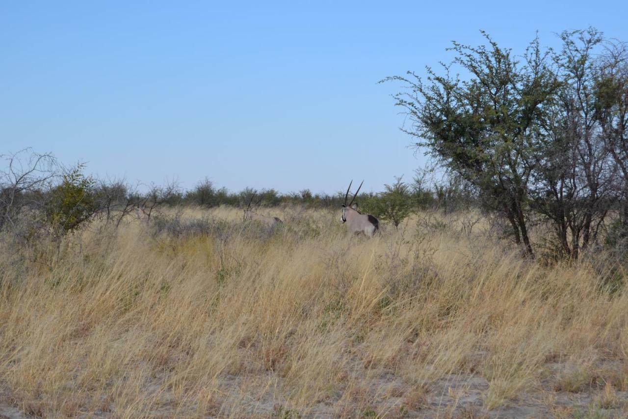 Chobe Sunset Chalets Lesoma エクステリア 写真