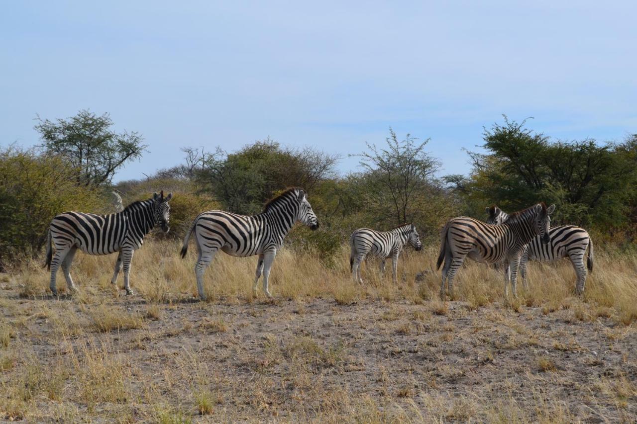 Chobe Sunset Chalets Lesoma エクステリア 写真